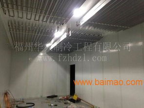 廈門(mén)食用菌冷庫(kù) 香菇種植冷庫(kù) 蘑菇冷庫(kù) 金針菇種植,廈門(mén)食用菌冷庫(kù) 香菇種植冷庫(kù) 蘑菇冷庫(kù) 金針菇種植生產(chǎn)廠家,廈門(mén)食用菌冷庫(kù) 香菇種植冷庫(kù) 蘑菇冷庫(kù) 金針菇種植價(jià)格